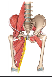 <p>What is this?</p>