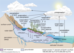 powered by the sun
Evaporation, condensation, percipitation, percolation (movement of water through the soil), transpiration
