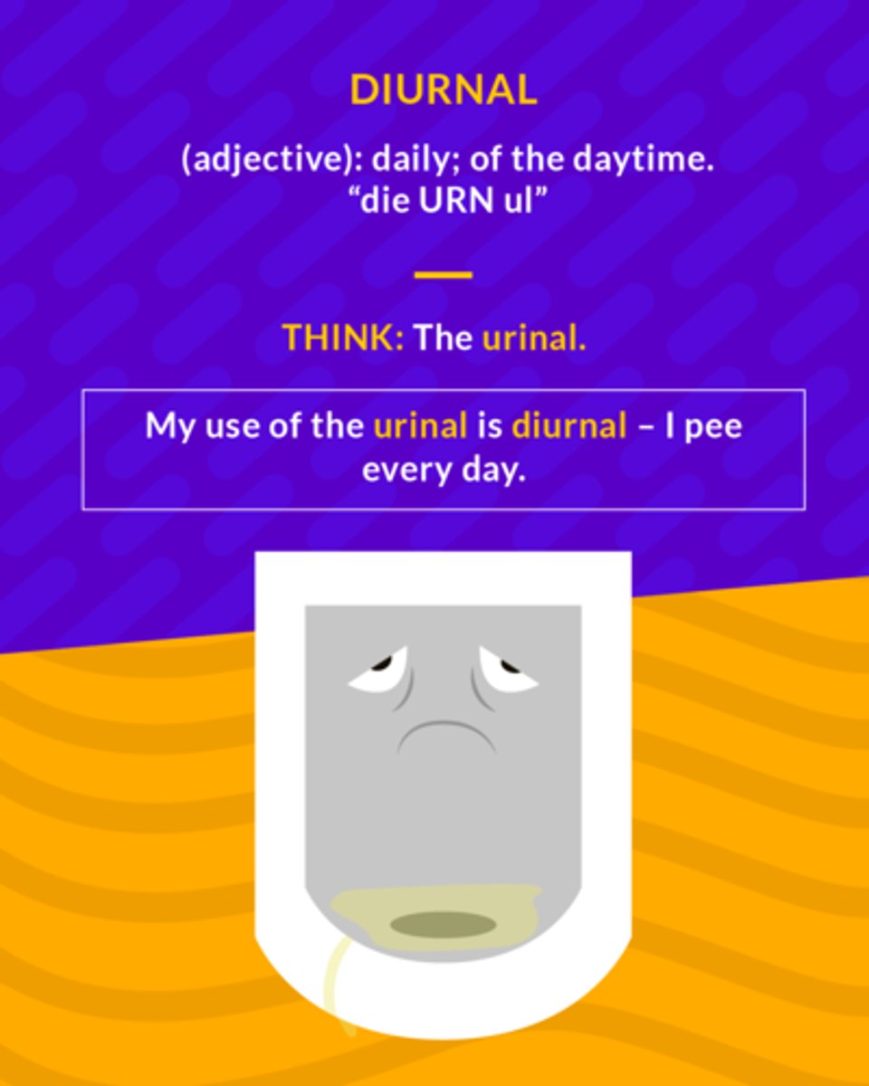 <p>daily; of the daytime</p>