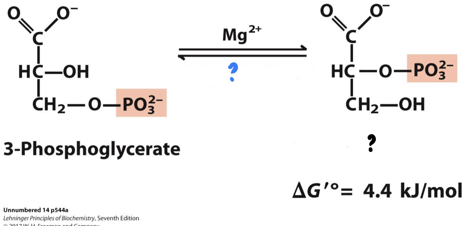 <ul><li><p><mark data-color="blue">_______________</mark> relocates the remaining phosphate group.</p></li></ul>