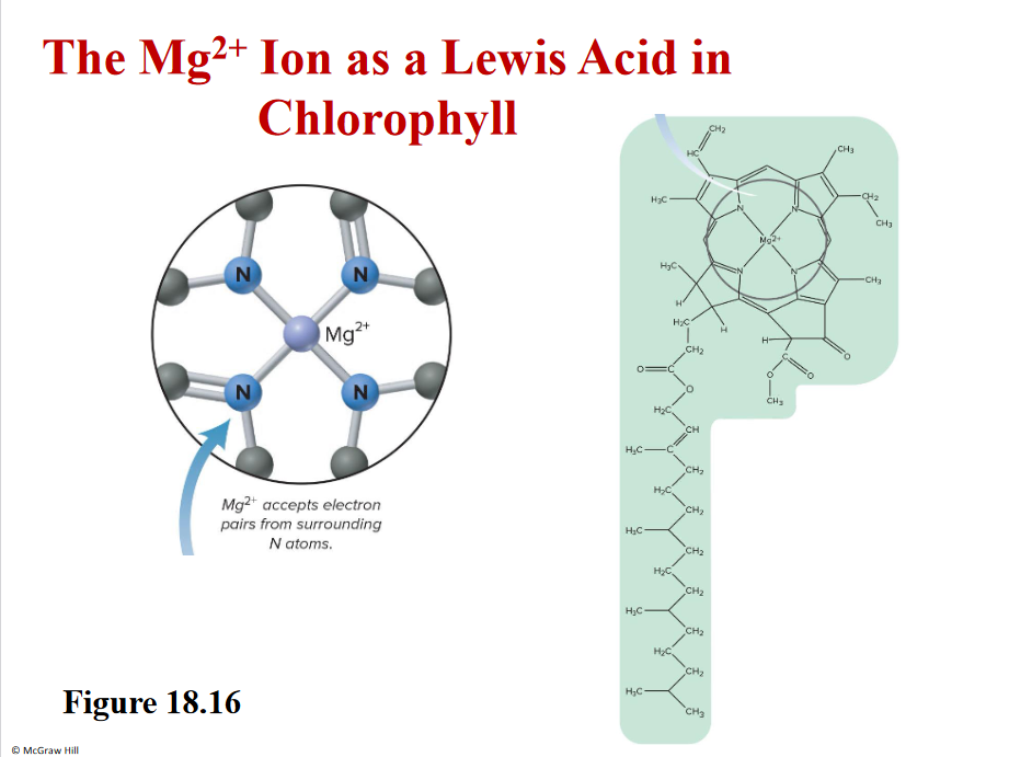 Mg2+= lewis acid

EMPTY ORBITALS

Lewis base have LONE PAIRS