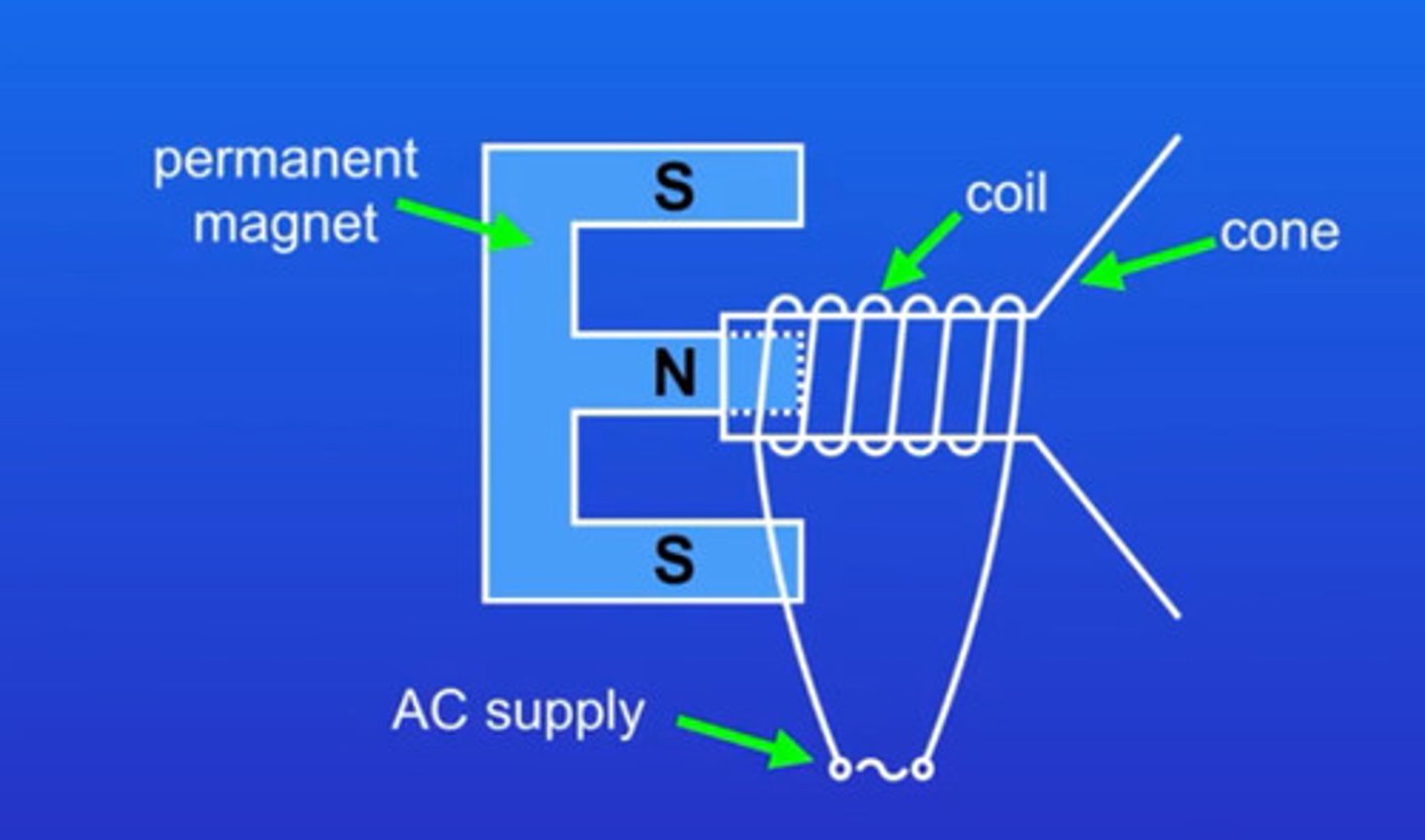 <p>ac flows through the coil <br><br>magnetic field lines overlap , causing a force to act on the coil pushing it forwards<br><br>the ac current changes direction causing the field to change direction and the force to act in the opposite direction<br><br>this happens very quickly causing it to vibrate<br><br>the coil is connected to a paper cone which vibrates causing vibrations in the air particles producing sound</p>