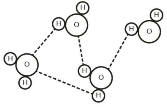 <p>The diagram shows water molecules. Which property of water is not illustrated?</p>