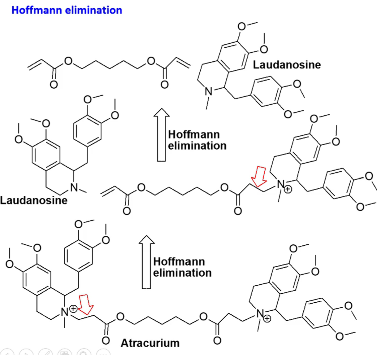 <p>process where a quaternary amine is reacted to create a tertiary amine and an akene by treatment with excess methyl iodide followed by treatment with silver oxide, water, and heat</p>