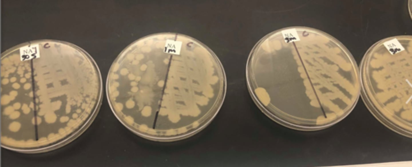 <p>In the DUV LED plate study, the half of the agar plate covered with aluminum foil serves as a...</p>