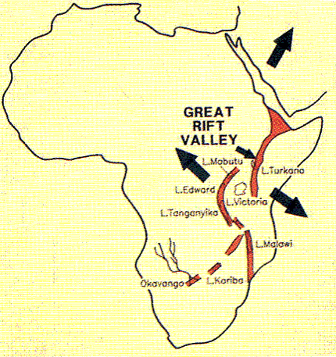 <p>Examples of areas of continental divergent boundaries</p>