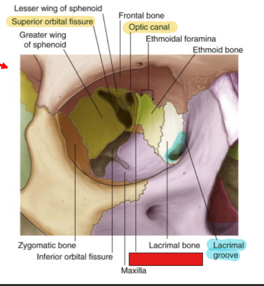 <p>fill in the red box:</p>