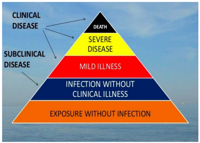 <p>public policy question: which categories of the clinical disease pyramid are the most important output regarding vaccine effectiveness?</p>