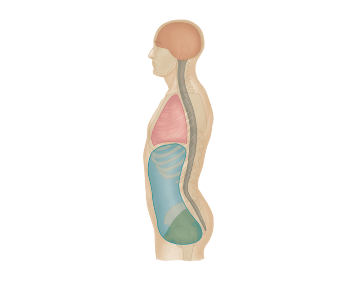 <p>What cavity would be considered just in the <span style="color: #0f7bed">BLUE</span> </p>