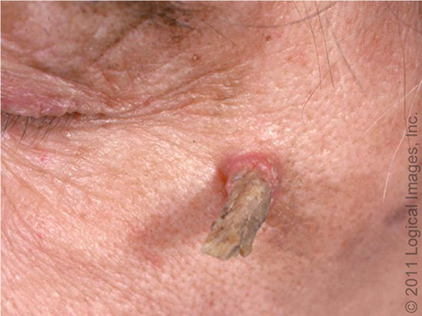 <p>what type of AK is this?</p>