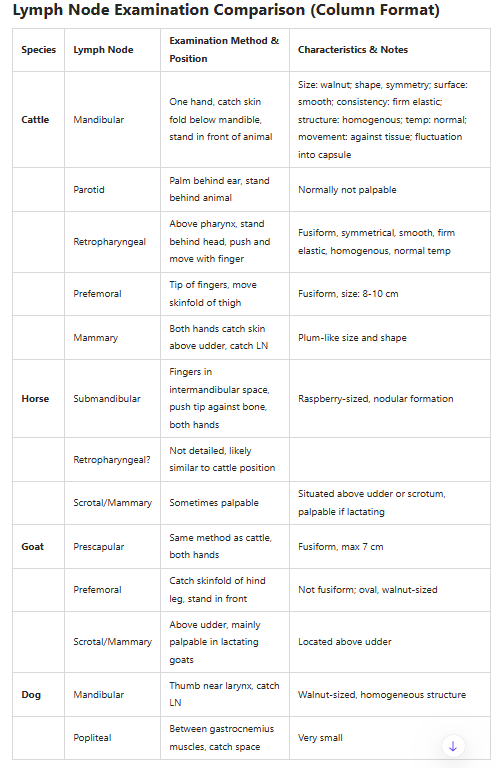 <p><strong>List of Lymph nodes and their shape:</strong></p><ol><li><p>Submandibular - walnut (raspberry in horse)</p></li><li><p>Parotid (not palpable)</p></li><li><p>retropharyngeal (not palpable)</p></li><li><p>prescapular - fusiform</p></li><li><p>prefemoral - fusiform</p></li><li><p>mammary - plum shaped</p></li><li><p>scrotal (not palpable)</p></li><li><p>popliteal - dog, pea-shaped</p></li></ol><p><strong>How to examine: </strong></p><ul><li><p>size, shape, symmetry, tenderness, consistency, surface, structure, adhesion to underlying tissue, temperature</p></li><li><p><strong>Healthy</strong>: anatomical size, shape according, symmetrical, no tenderness, firm-elastic consistency, homogenous/lobed structure, smooth surface, movable against underlying tissue, temperature same as surrounding parts. </p></li></ul><p><strong>How to examine lymphatic vessels:</strong></p><ul><li><p>Inspection and palpation (normally not possible)</p></li></ul><p></p>