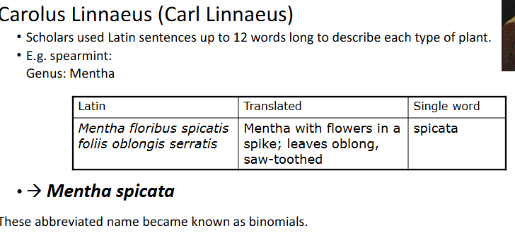 <p>Binomial System of Nomenclature</p>