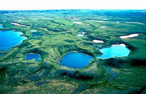 <p>What lake type is shown here?</p>