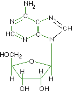 <p>What macromolecule is this?</p>