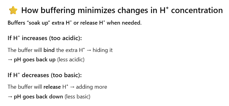 <ul><li><p>Buffers are usually <strong>negatively charged anions</strong>.</p></li><li><p>When H⁺ increases (more acidic), buffers <strong>bind</strong> the excess H⁺.</p></li><li><p>When H⁺ decreases (more alkaline), buffers <strong>release</strong> H⁺ back into the fluid.</p></li><li><p>A buffer is a molecule that stabilizes pH by reversibly binding H⁺ ions, preventing large changes in acidity. </p></li></ul><p></p>