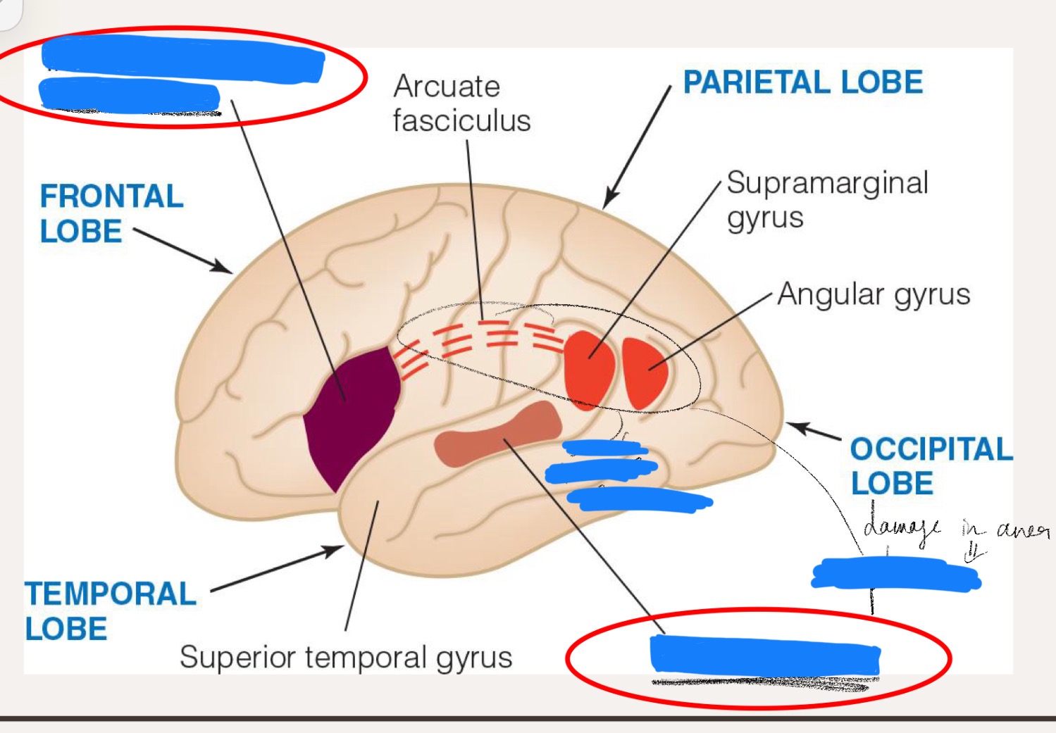 <p>Fill in the blanks</p>