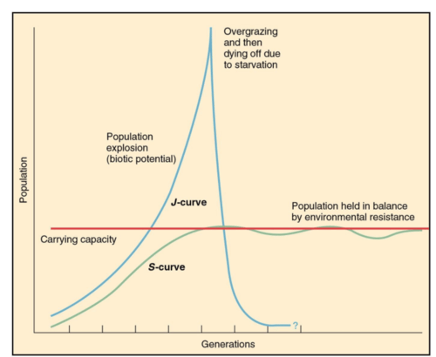 <p>Determines whether the population size increases, decreases, or stays the same.</p>