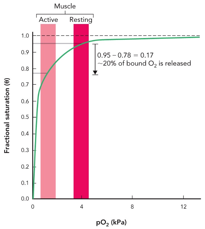 <p>what graph does this represent </p>