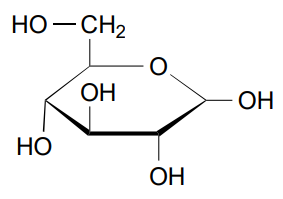 <p>Glucose</p>