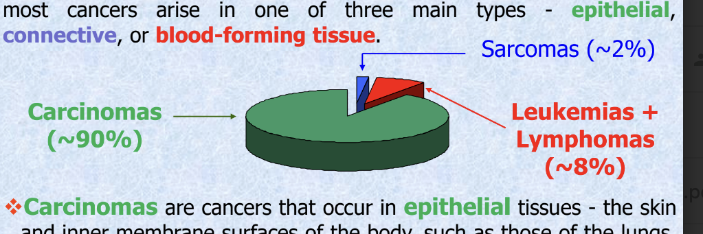 <p>each organ in the blood is composed of different types of tissue, and most cancers arise in 1 or 3 main types → <strong>epithelial, connective</strong> or <strong>blood forming tissue</strong></p><ul><li><p><strong>carcinomas</strong> = cancer that occur in <strong>epithelial </strong>tissues</p><ul><li><p>skin, inner membrane surfaces of the body (such as those of the lungs, prostate, breast, ovarian, stomach, intestines, blood vessels)</p></li></ul></li><li><p><strong>sarcomas</strong> originate in <strong>connective</strong> tissue</p><ul><li><p>muscle, bone, cartilage, fat</p></li><li><p>parts that support and connect other parts of the body</p></li></ul></li><li><p><strong>leukemias</strong> develop in <strong>blood cells</strong> and <strong>lymphomas</strong> originate in the lymphatic system</p></li><li><p>ranking of prevalence</p><ul><li><p>carcinomas ~90%</p></li><li><p>leukemias + lymphomas ~8%</p></li><li><p>sarcomas ~2%</p></li></ul></li></ul><p></p>