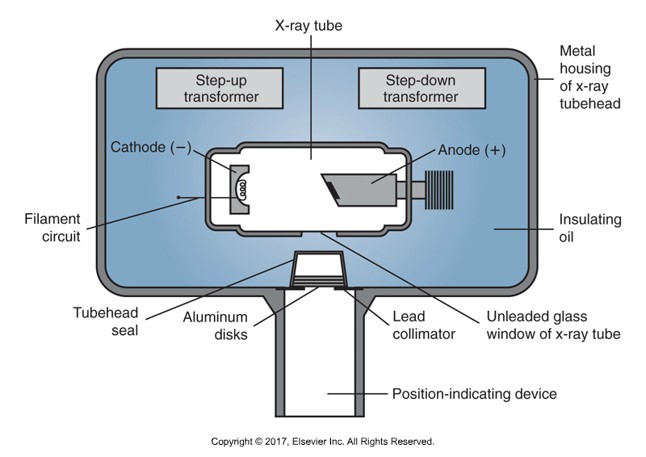 <p>Aluminum discs in the path of the xray beam between the collimator and tube head seal in the xray unit. </p><ul><li><p>Filters out LONG wavelengths with low energy and soft radiation</p></li></ul><p></p>