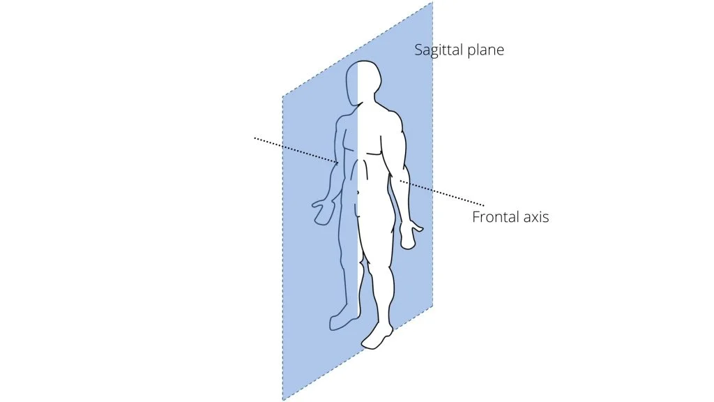 <p>any vertical plane that divides the body into left and right</p>