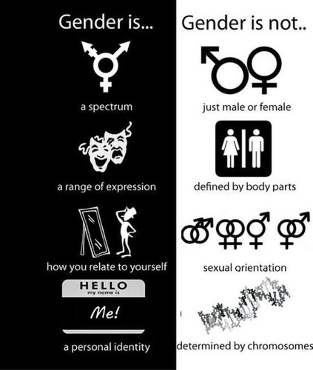 <p>- wanting to be other gender<br>- wanting things / wearing clothes of the opposite gender<br>- Doing things normally done by the opposite gender<br>- hanging out with the other gender more<br>- strong dislike of one's own sexual anatomy<br>- Strong desire for the primary and/or secondary sex characteristics that match one's experienced gender</p>