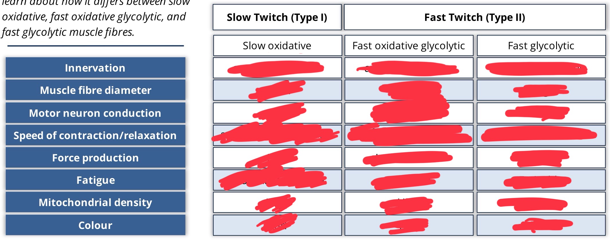 <p>fill in the table</p>