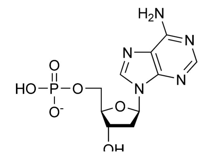<p>What monomer is this?</p>