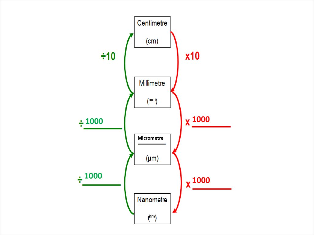 <p>1000</p>