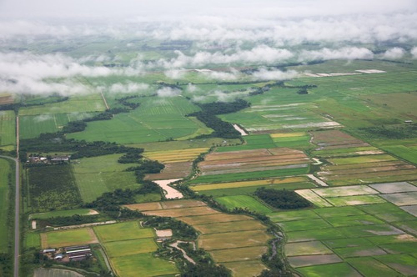 <p>The number of people per unit area of arable land</p>