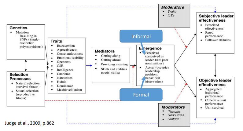 <p><strong>genetics</strong> and <strong>selection</strong> processes combine to establish an individual’s <strong>traits</strong>. Examples of traits that are related to leadership emergence are <strong>Big 5 traits</strong> (emotional stability instead of neuroticism), <strong>intelligence, charisma</strong>, etc. These traits affect the <strong>mediating</strong> variables <strong>getting along, getting ahead, providing meaning, and skills and abilities</strong>.</p><p></p><p>These mediating variables affect leadership emergence, specifically <strong>perceived leadership and actual leadership emergence</strong> (informal vs formal).</p><p></p><p>Leadership emergence affects <strong>subjective and objective leadership effectiveness</strong> (ratings/attitudes versus aggregated/collective unit performance).</p><p></p><p>The relationship between emergence and effectiveness is <strong>moderated</strong> by <strong>traits and ILTs</strong> (for subjective effectiveness), and by <strong>threats, resources and culture</strong> (for objective effectiveness).</p>