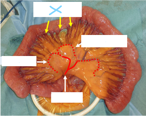 <p>What does X refer to</p>