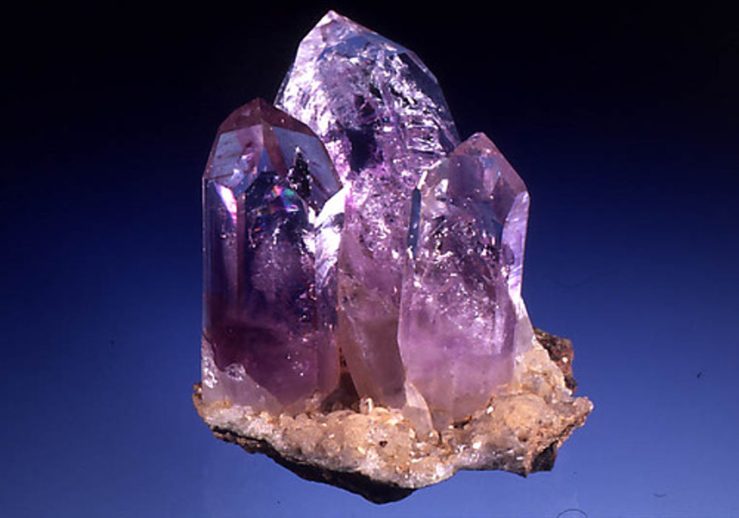 <p>Purple and transparent.</p>