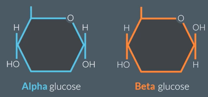 <ul><li><p>Sweet-tasting</p></li><li><p>Soluble</p></li><li><p>Examples: Glucose, Galactose, fructose</p></li><li><p>General formula: (CH<sub>2</sub>O)<sub>n</sub>, where n = 3 to 7</p></li></ul><p></p>