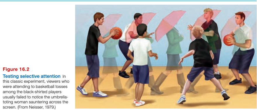 Figure 16.2: Testing Selective Attention; In this classic experiment, viewers who were attending to basketball tosses among the black-shirted players usually failed to notice the umbrella-holding women sauntering across the screen, (From Nasser, 1979)