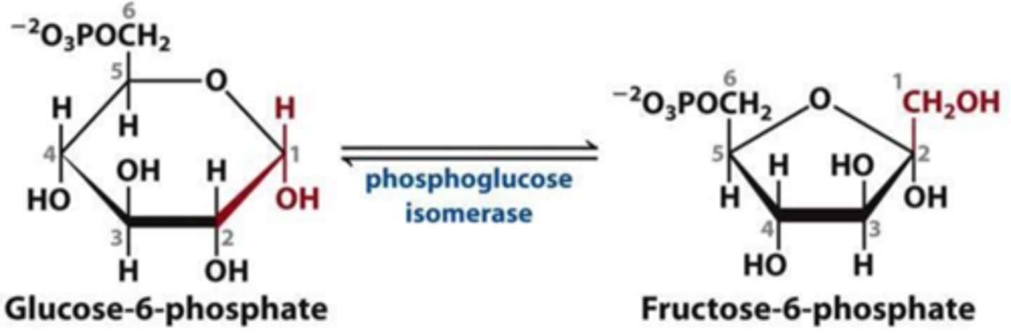 <p>Reactant: Glucose 6-phosphate</p><p>Product: Fructose-6-phosphate</p><p>Enzyme: Phosphohexose Isomerase</p><p>Reversibility: Reversible</p>