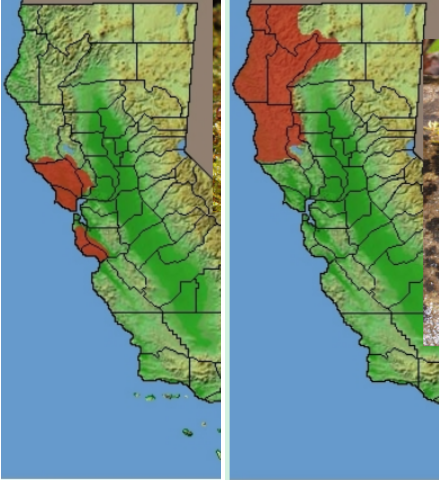 <p>Dicamptodontidae range?</p>