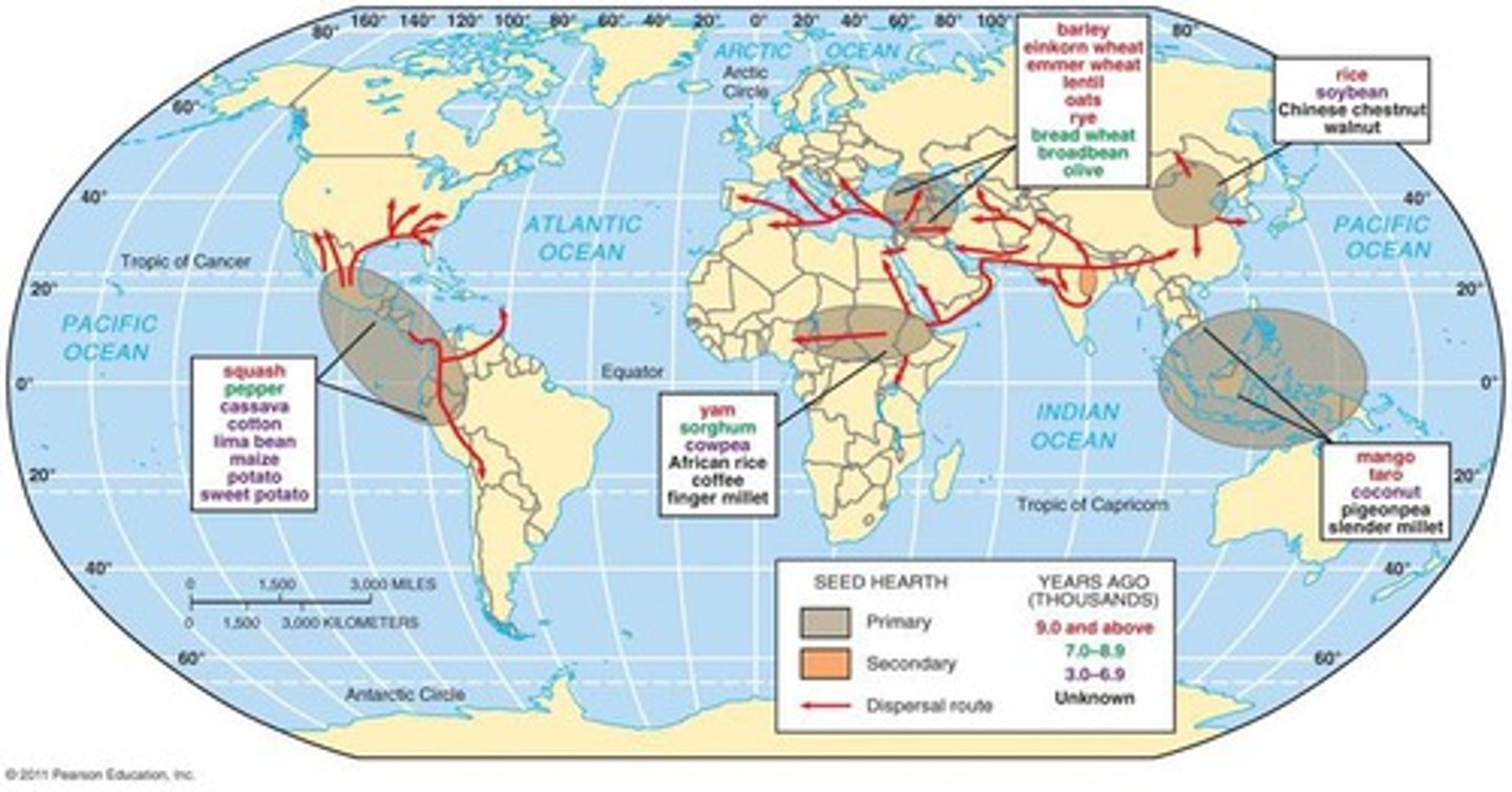 <p>a source of culture (where a culture began). For example, the US is the hearth of fast food</p>