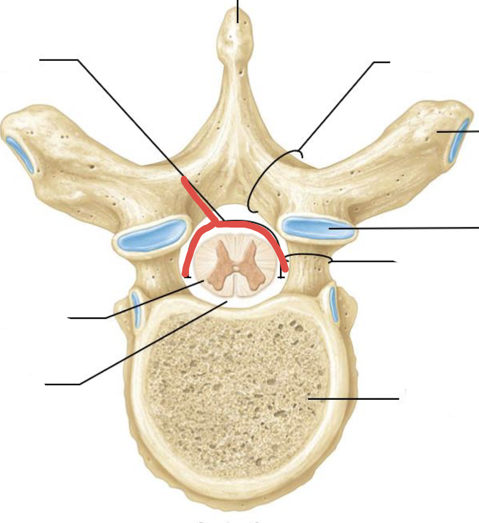 <p>what is this?</p>