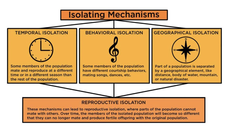 <p>live in the same geographical area.</p><p>→ temporal isolation (timing) - flowering different times, mate at different times</p><p>→ behavioural isolation (cannot communicate) - doesn’t recognise mating rituals, or language</p><p>→ genetic variation (post zygotic changes) - gamete mortality, zygote mortality, sterility of offspring.</p>