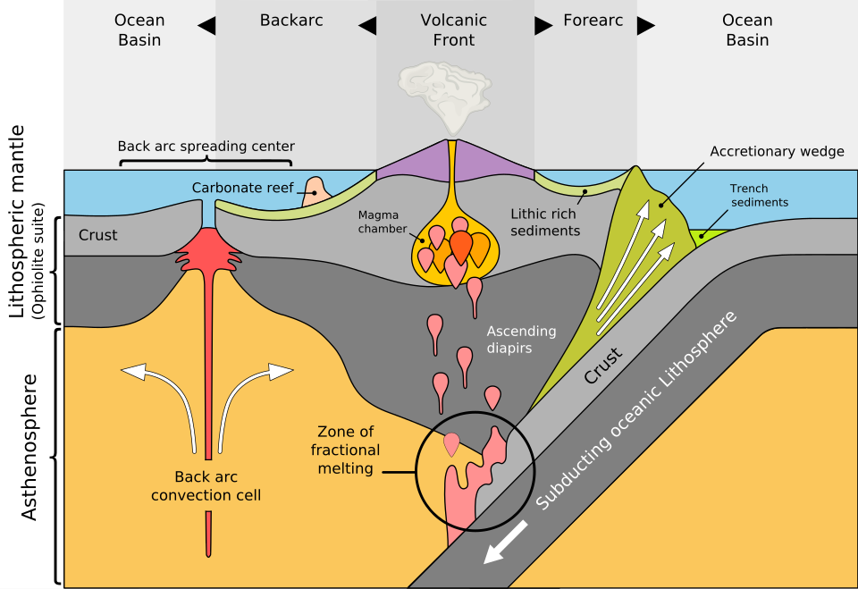 <p>flat basin in front of the trench caused by the accretionary arch</p>