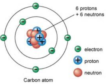 <ul><li><p>It is inside the nucleus of an atom.</p></li><li><p>It carries no charge.</p></li></ul><p></p>