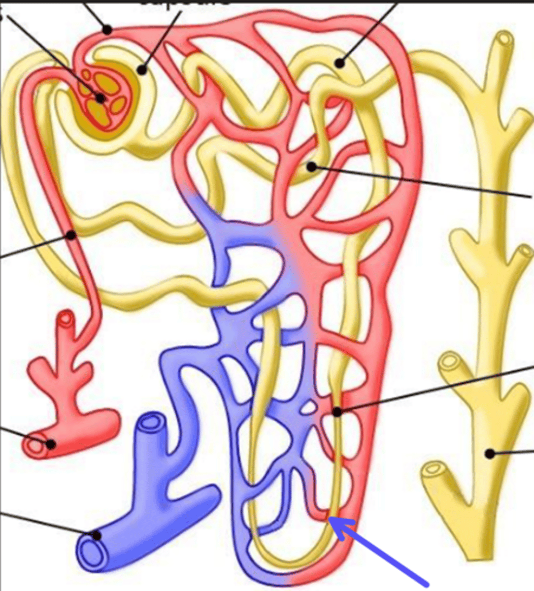 <p>What is the arrow pointing at?</p>