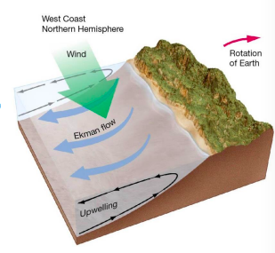 * Ekman transport moves surface seawater offshore.
* Cool, nutrient-rich deep water comes up to replace displaced surface waters.
* Western U.S. and cool San Francisco temperatures