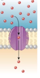 <p>What is this?</p>