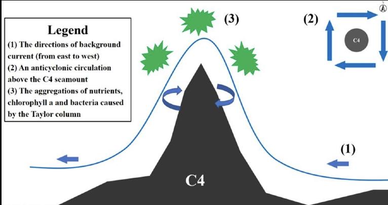 <p>What is a Taylor Column Circulation?</p>