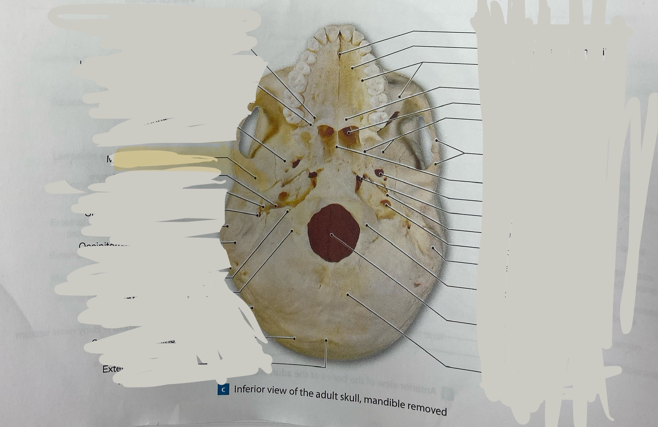 <p>what is this structure?</p>