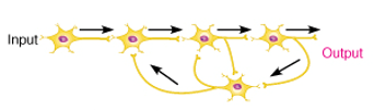 what circuit is this

reverberating or parallel