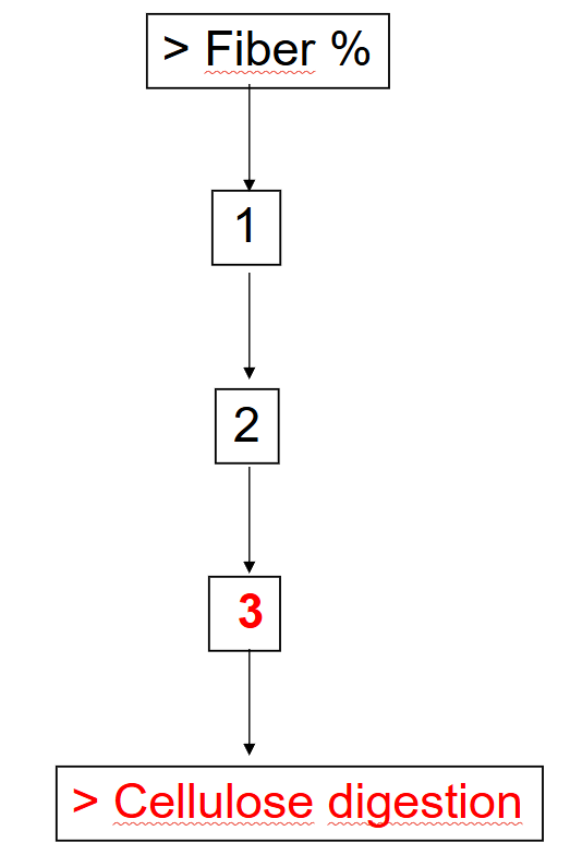 <p><span><span>Fill in the blank</span></span></p><p><span><span>_______________ (</span></span>< Rumination time​, > Rumination time​), _______________ (> salivation​, < salivation​), _____________ (> Ruminal pH​, < Ruminal pH​)</p>